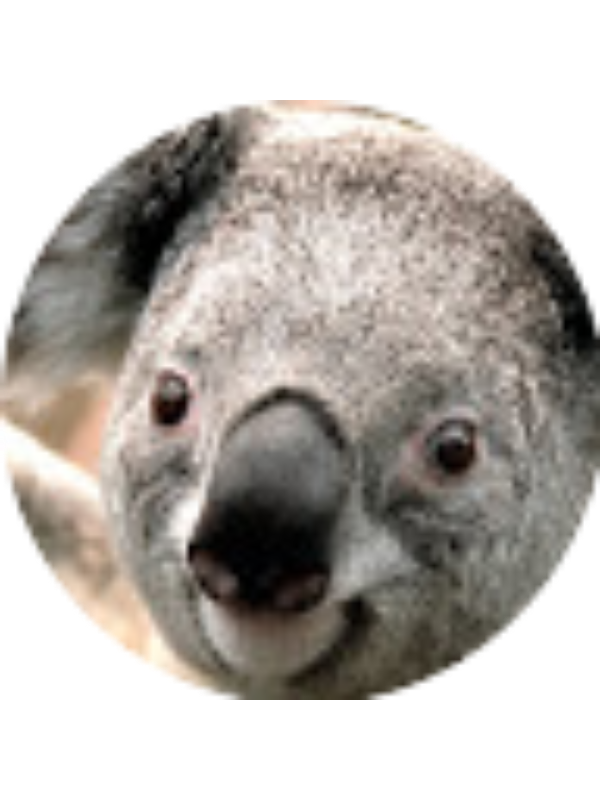 Photo of Monica Vargas