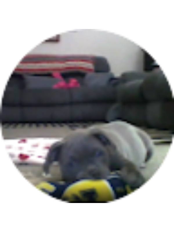 Photo of Jazmin Burk