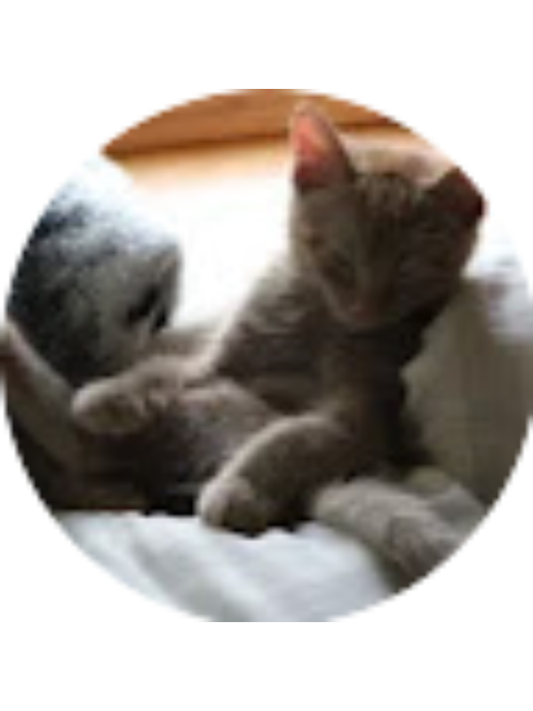 Photo of Sylvie Molstad