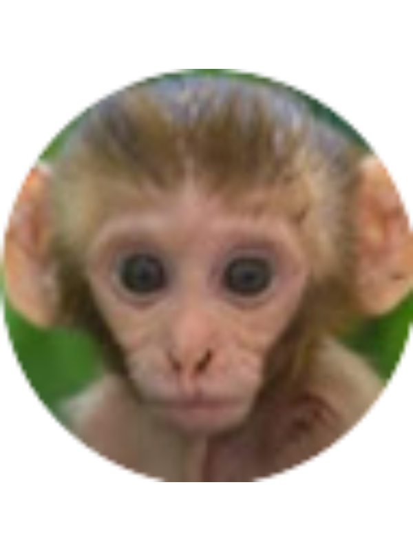 Photo of Kristen G Schlueter