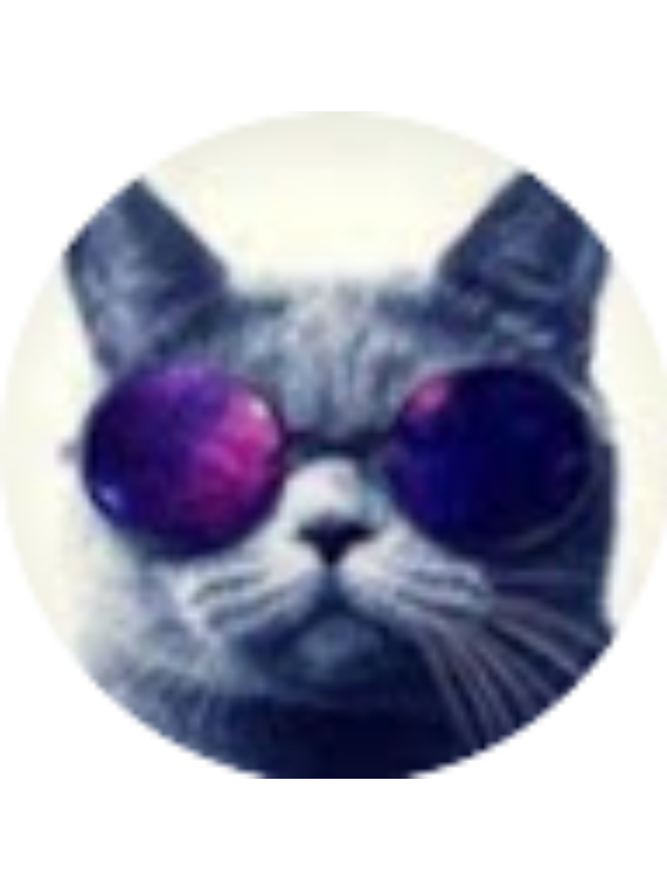 Photo of Ionela Fulga