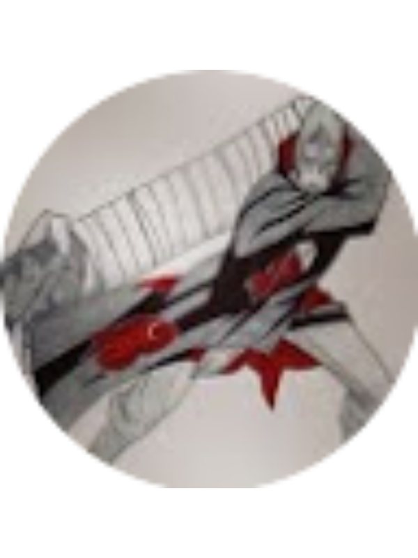 Photo of Bloody Wolf1k