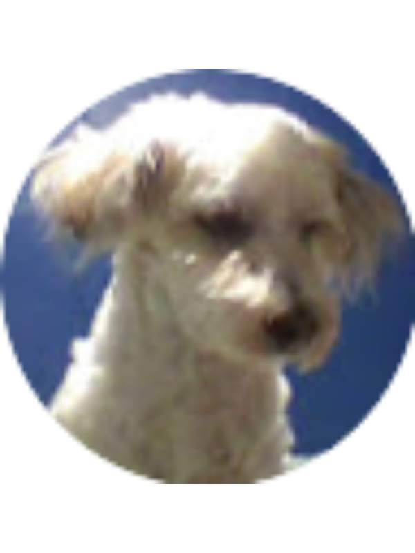 Photo of Ricky MarquezHernandez