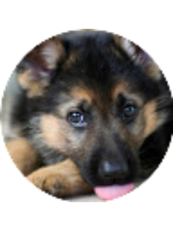 Photo of Alanna Cross