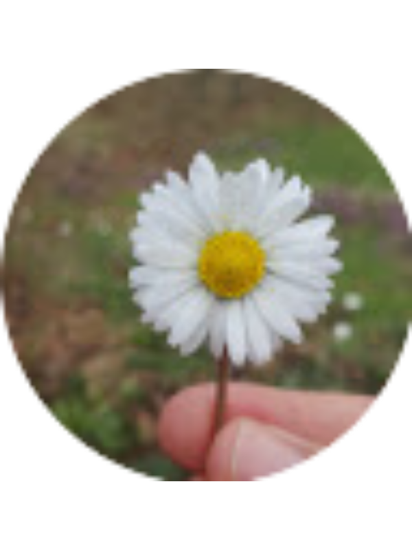 Photo of Kadriye Yıldırım