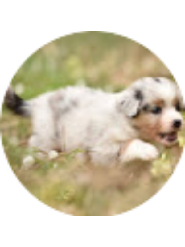 Photo of Arabelle Radcliff