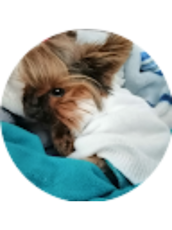 Photo of Betty Delgado