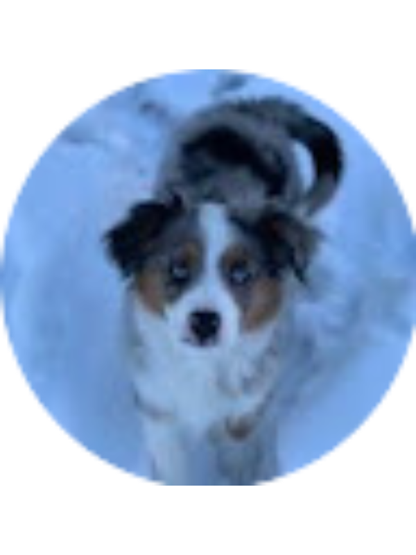 Photo of Tanishka Ganapa