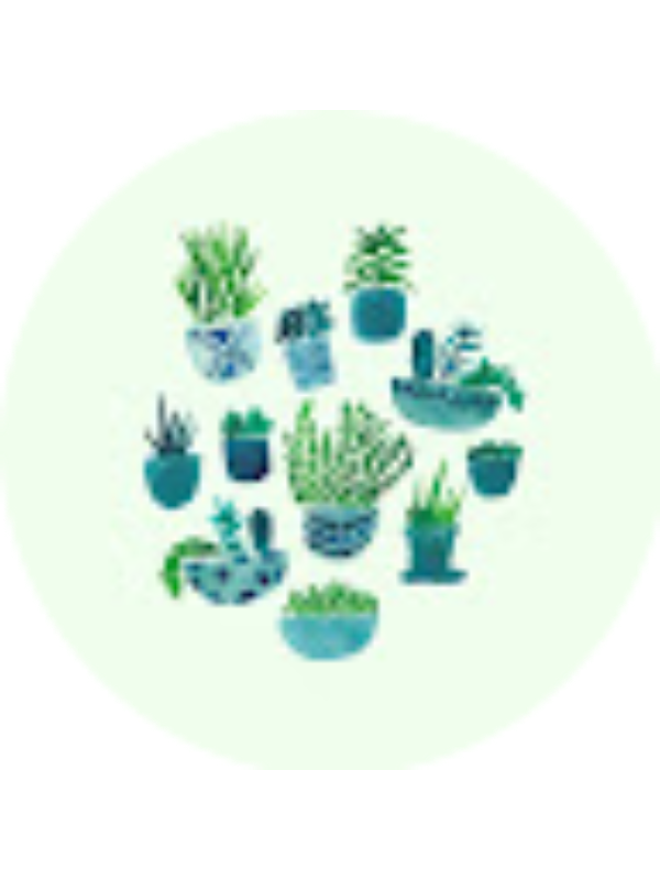 Photo of GABRIELLA MAGNIFICO