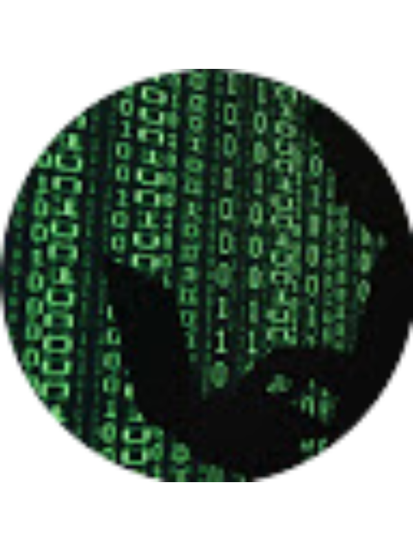 Photo of Diego Felipe