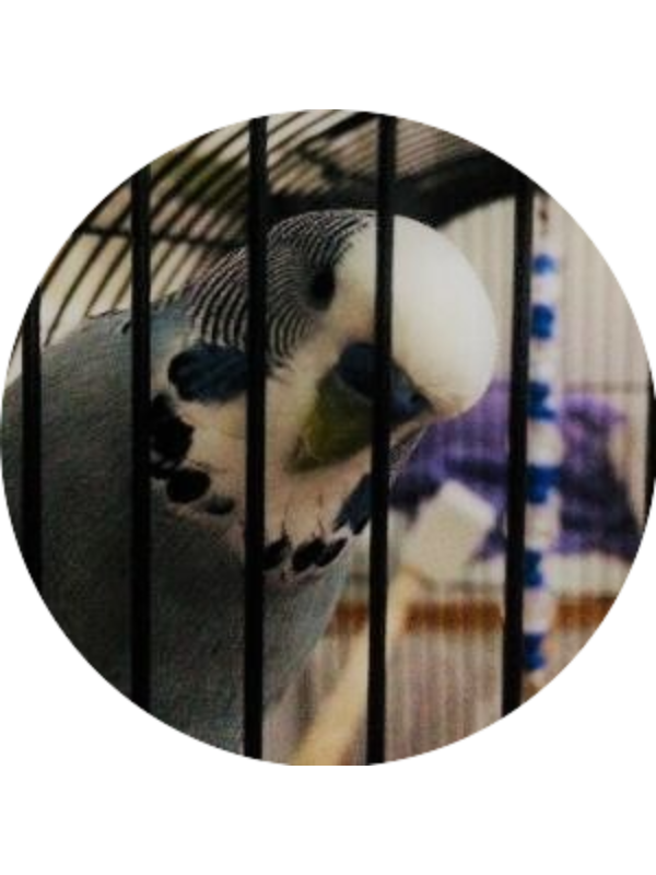 Photo of OykuErdogannn