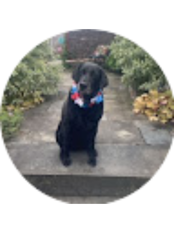 Photo of MADELYN MOTHERSBAUGH