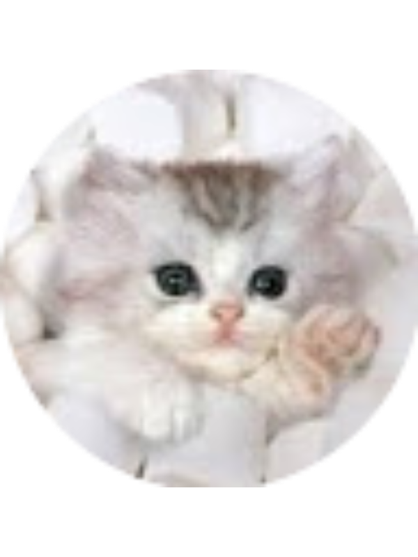 Photo of Jessica Harriss