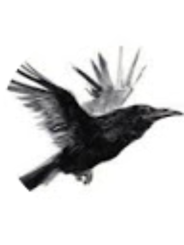 Photo of Eshaan Shah