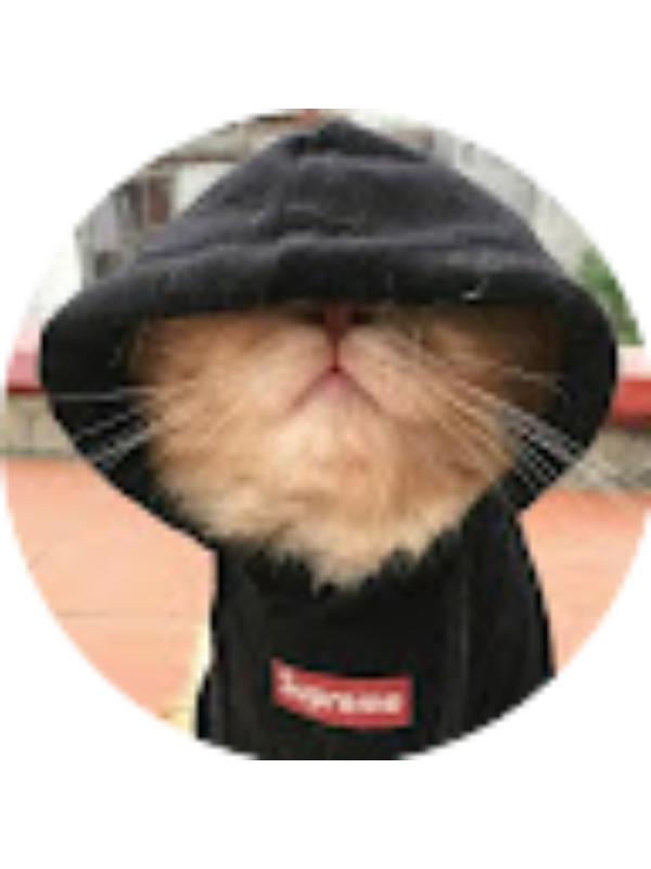 Photo of María José :3 Rodriguez