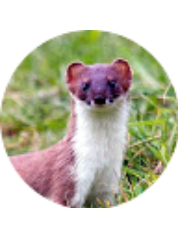 Photo of Alexander Donahue