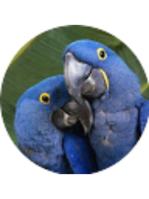 Photo of Maria camila Flechas