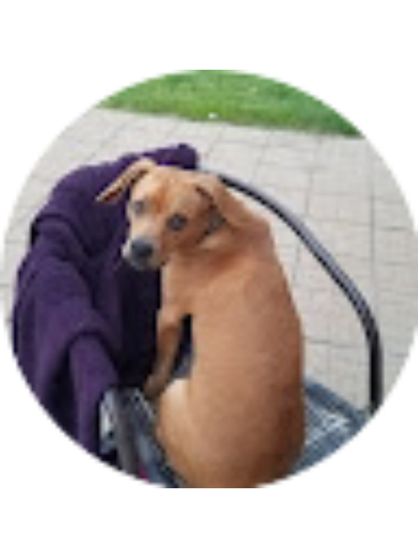 Photo of Kennedy Weiss