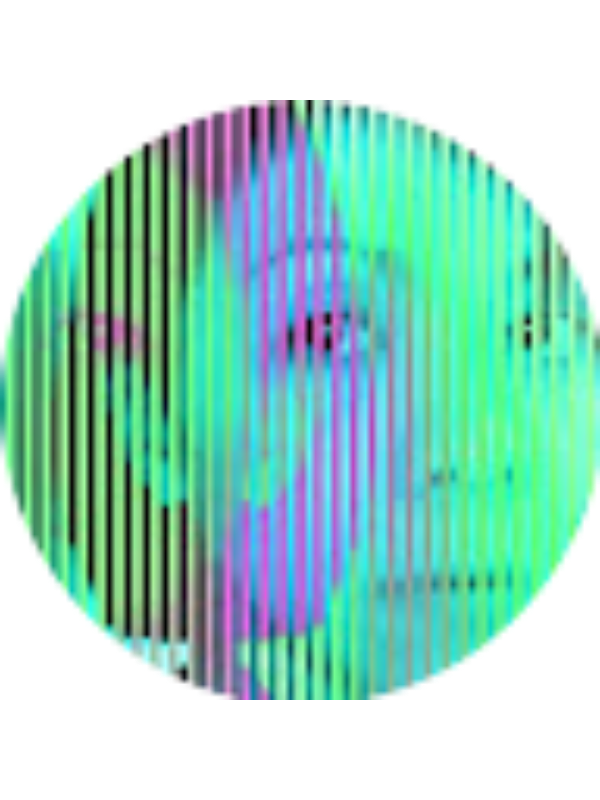 Photo of Sisca Bujung