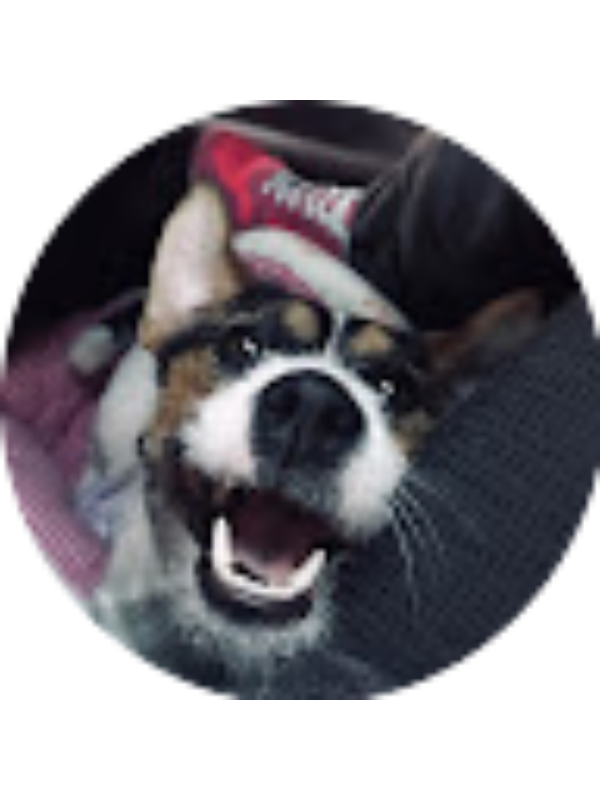 Photo of Krist&yacute;na Uhrov&aacute;