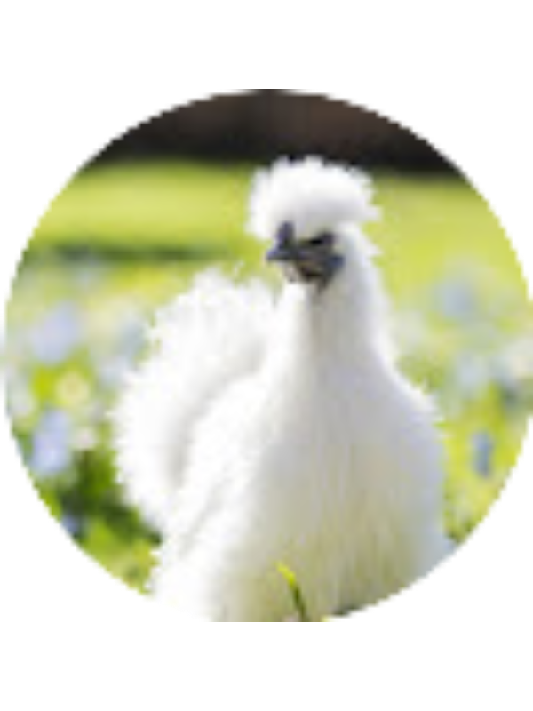 Photo of Faith Nelson