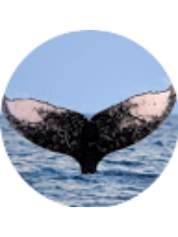 Photo of Brianna Taylor