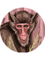 Picture of CAUA LEDUR