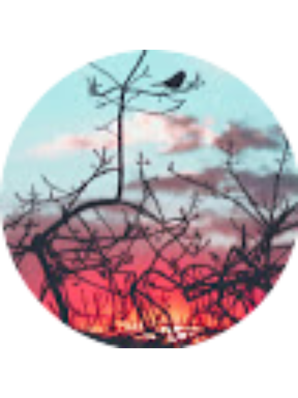 Photo of ANDREA VALENTINA TORRES GUTIERREZ