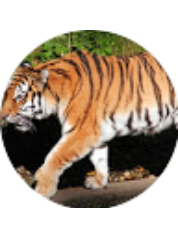 Photo of Skyler Fisher