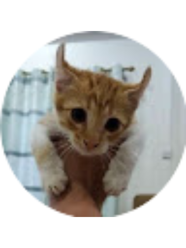 Photo of Nasiruddin Wahab