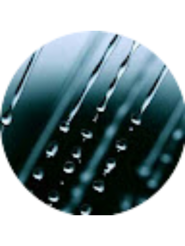 Photo of Zeynep Sezen