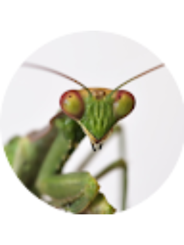 Photo of Chaofu Zheng [STUDENT]