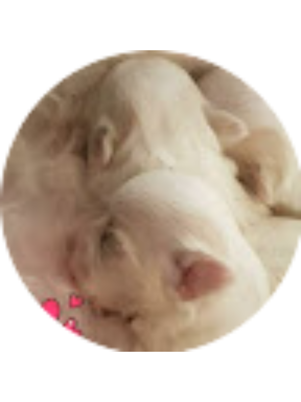 Photo of Marti Marti