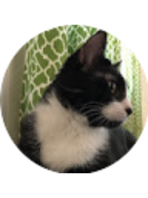 Photo of Susannah Swan