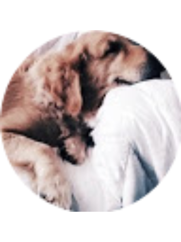 Photo of alexandra4290