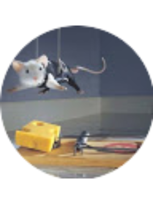 Photo of Suso Vázquez