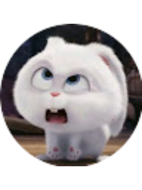 Photo of Syakirotul li An'umillah