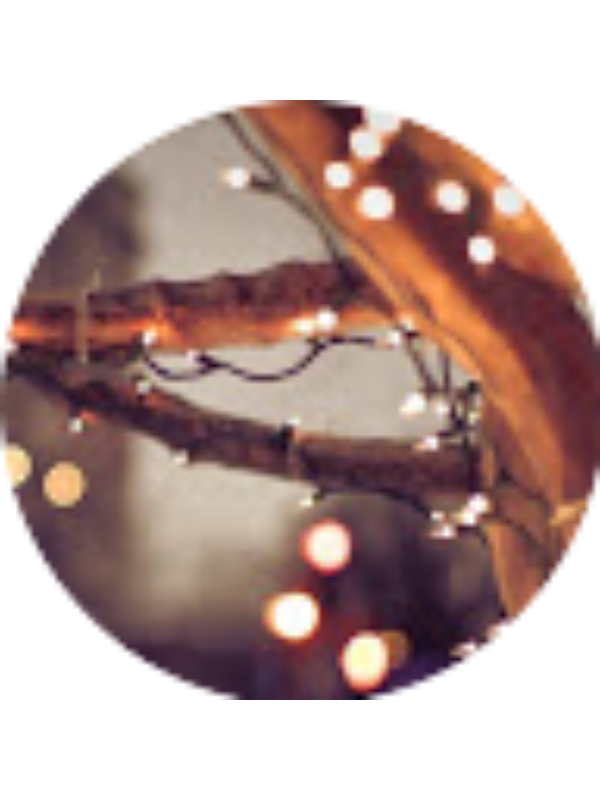 Photo of TOUCHA VANG