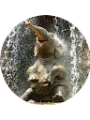 Picture of Brenda Sebastian