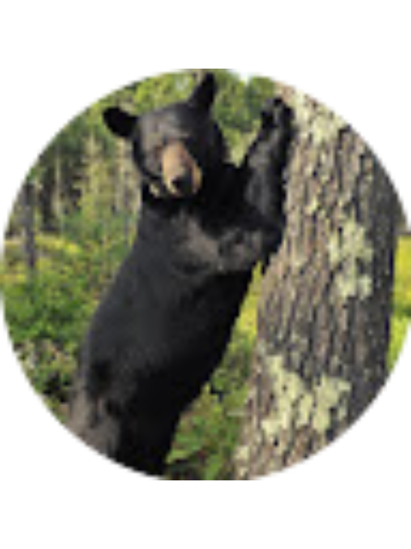 Photo of Gianni Oldham