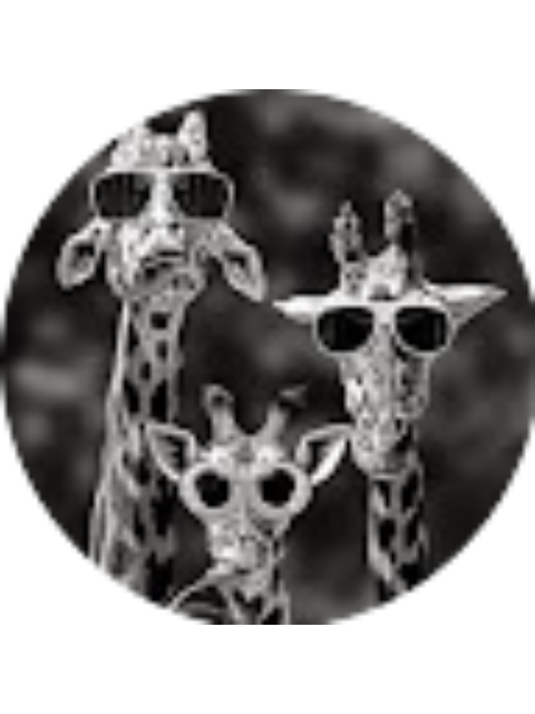 Photo of Aneta Dardamani