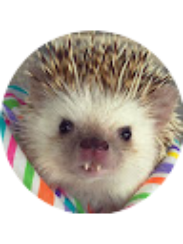 Photo of Kritika Hari _ Student - GreenHopeES