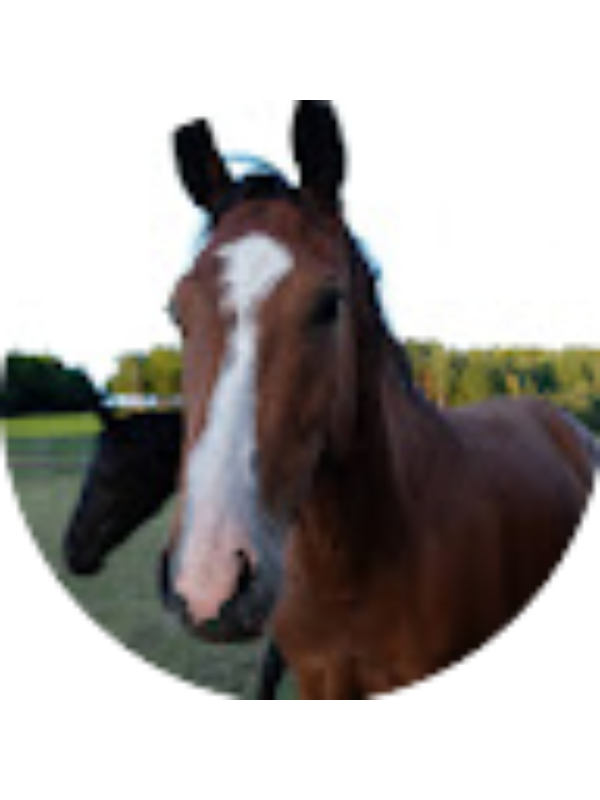 Photo of Stefania Knutsen