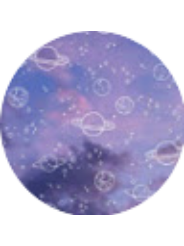 Photo of Sofia Viviana Perez Paladines