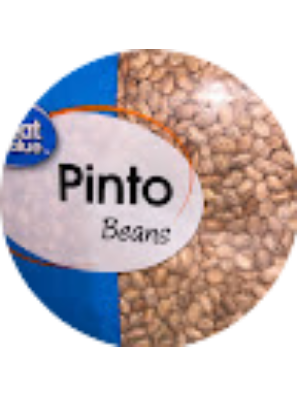 Photo of Logan Hollingsworth