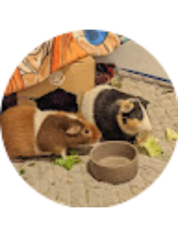 Photo of Alex Esquivel [STUDENT]