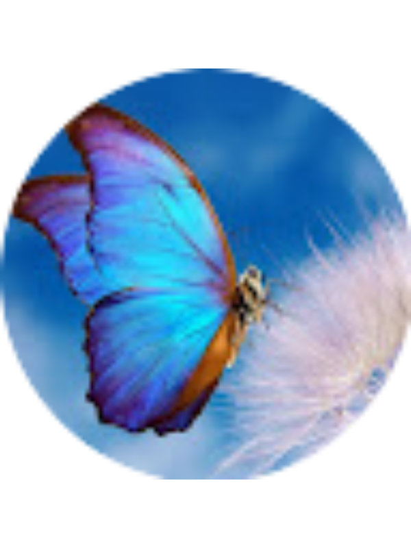 Photo of Federica Rossi