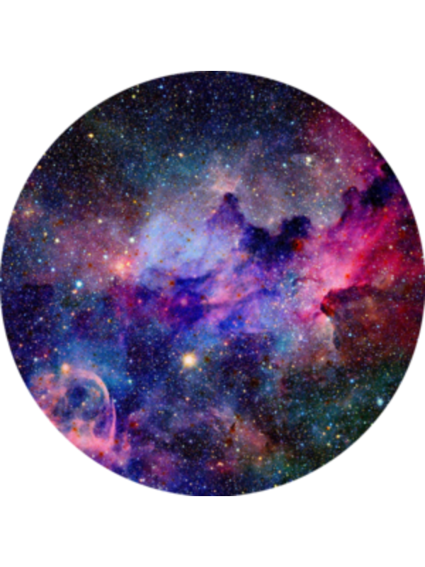 Photo of Ayaana Shaik