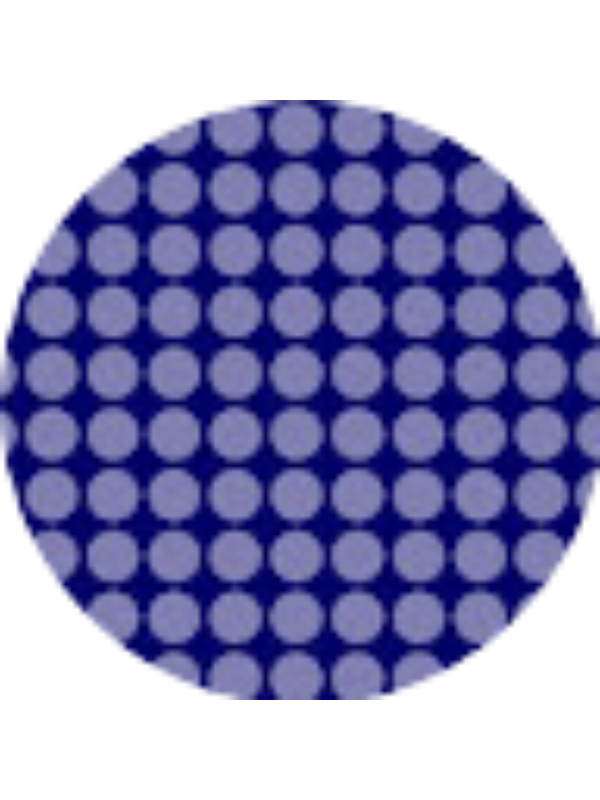 Photo of Ayse Kockara