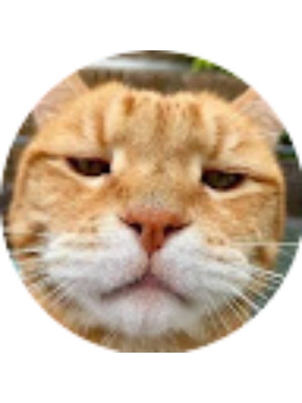 Photo of Yousra Channel - Educational Videos For Kids